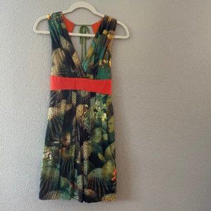 Eva Franco Dress from Anthropologie